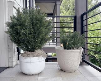 White Round Planter - Vigoro Sloan Cream Resin Planter 