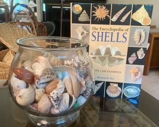 Glass Bowl of Shells and Encyclopedia of Shells