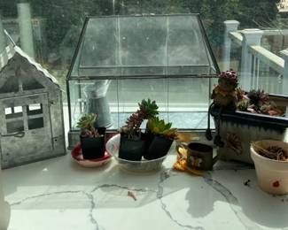 Glass Plant Terrarium With Succulents And Decor