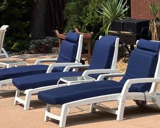 256.  Six White Resin Chaise Lounge w/ Cushions & Storage Compartment