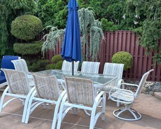 262. Dining Set from Fortunoff Wavy Glass Top Table on Aluminum Base (42.5" x 70.5" x 28") w/ 8 Chairs 2 Swivel Arm and 6 Side and Umbrella