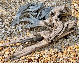 280.  Collection of Driftwood