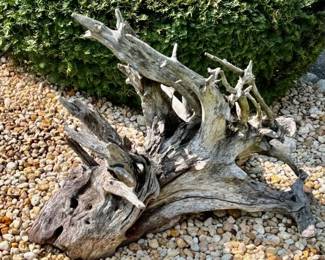 280.  Collection of Driftwood
