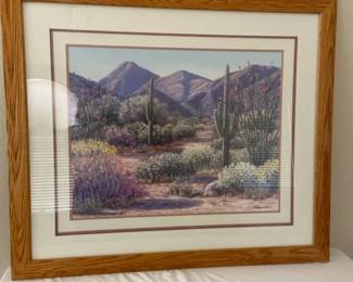 Linda Lee Desert Scenery