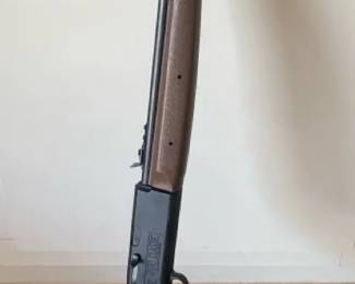 Crosman Air Rifle