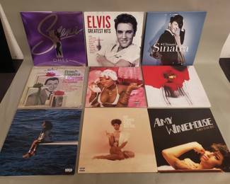 328 Lot 173 Group of LP records including Selena Elvis