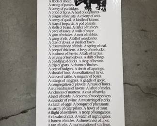 307 Lot 578 Pair of poster boards