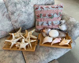 Shells, Starfish