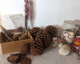 Shells, Pinecones And Other Natural Decor