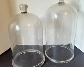 Large Glass Cloches