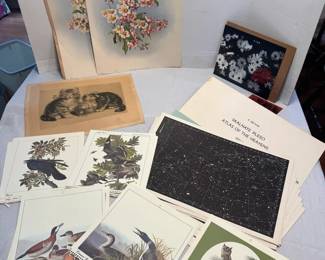 Collection Of Art Prints