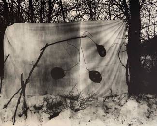1064 Laurent Millet (b. 1968) "La Chasse 5," 2003 Photograph on paper Edition: 2/20 Signed, titled, dated (twice), numbered, and inscribed, all in pencil on the verso: Laurent Millet 2003; titled, dated, and numbered again on a printed label affixed to the frame's backing paper Sight: 18 x 22 1/2 in. Estimate: $400 - $600