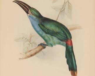 1058 After John Gould (1804-1881) "Blood-Rumped Groove-Bill Araçari" Lithograph with hand-coloring on paper From the edition of unknown size and date With the artist's name printed as part of the image lower left; Charles Joseph Hullmandel, London, England, prntr. Image: 15 x 10 in.; Sight: 17 1/4 x 12 1/2 in. Estimate: $500 - $700