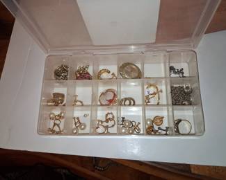 Assorted Vintage Costume Jewelry Collection with Organizer
