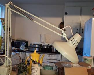 Luxo Color Correct Fluorescent Task Lamp