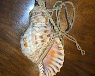 Vintage Triton Conch Shell Trumpet
