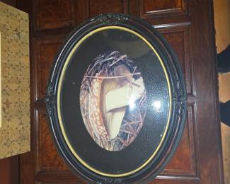 Vintage Oval Mushroom Print in Ornate Frame