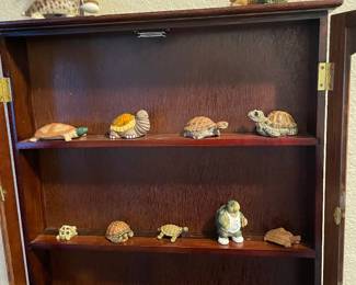 Turtle Collection