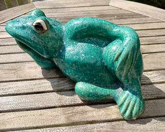 Kermit? Well maybe not, but could be a distant cousin!!