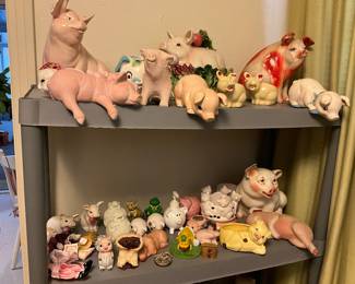 Lots of pigs