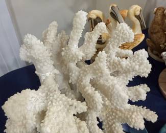 Large white branch coral specimen