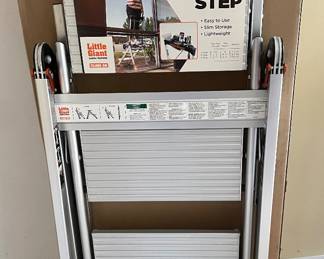Little Giant ladder new