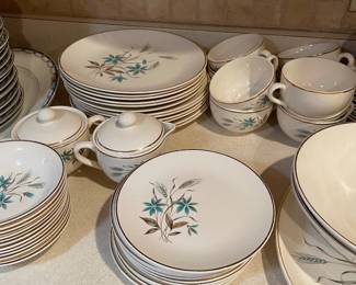 Dining ware dish set