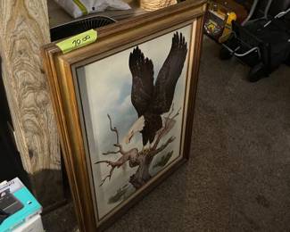 Eagle Picture