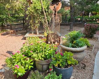Plants, outdoor decor.