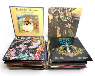 Mystery Vinyl Records Rod Stewart, Small Faces, Cat Stevens, More