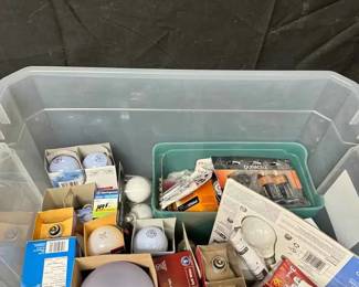 17WH145Batteries And Lightbulbs Mystery Lot
