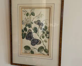 B28 - $40. Framed Botanical & Butterfly Illustration. Measures 13.5" x 18". 