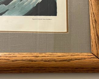 B8 - $200. Virginian Partridge Framed Print. It is sun faded. "Drawn from Nature & Published by John J. Audubon. Virginian Partridge, Perdix Virginiana. Lath, Male Adult, 1. Young, 2 Female Adult, 3. Young. 4 very young Birds, 5. Engraved, Printed & Coloured by R. Havell." Plate LXXV. Measures 45" x 33.5". 