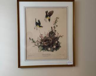 B14 - $100. "Yellow-Breasted Chat". Framed it measures 26.75" x 32". J.J. Audubon, Chromotith by J. Bien. New York 1860. Plate 244. 