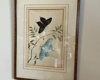B29 - $40. Butterfly/Moth Botanical Print. Measures 13.5" x 18.25". 
