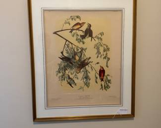 B15 - $80. "Common Crofsbill". Has fading / discoloration in the middle of the framed area. Framed it measures 26.75" x 32". J.J. Audubon, Chromotith by J. Bien. New York 1860. Plate 200. 