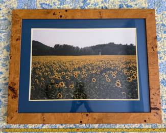 B58 - $25. Framed Sunflower Photo. Measures 24.5" x 19". 