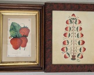 Framed Fruit Print & Theorem