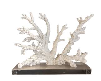 053 White Coral Specimen on Acrylic Base