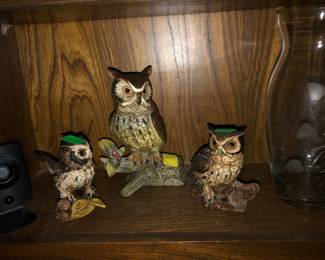 Owls
