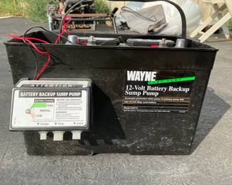 Everstart Deep Cycle Battery