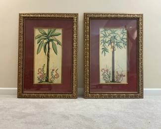Oasis Palm