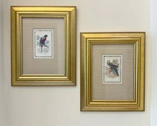 Bird Prints