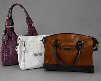 3 Tignanello Handbags Purple, White Brown