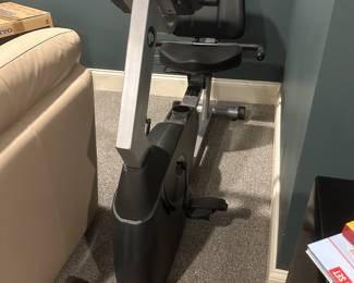 Lifespan recumbent bike.....
