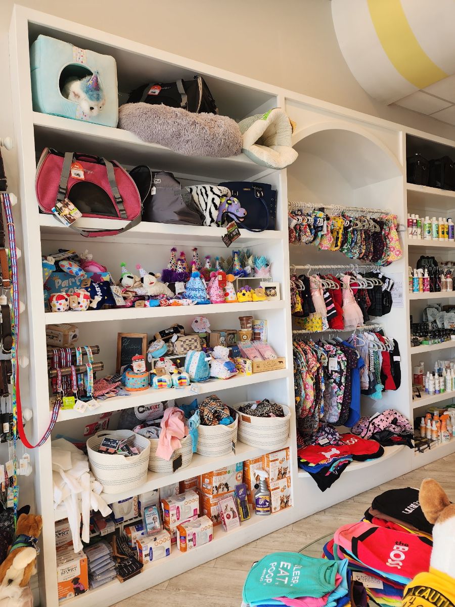 Birthday toys and accessories, bags, pajamas, robes, diapers, puppy pads, clothing, shampoo and conditioner, CBD, supplements