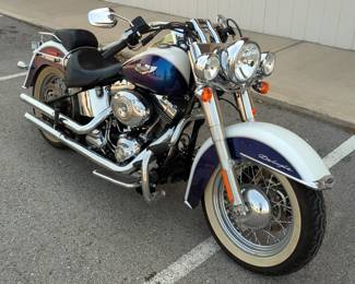 2010 Harley-Davidson FLSTN Softail Deluxe Motorcycle - VIN: 1HD1JD513AB036912