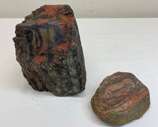 Petrified Wood And Ribbon Rock