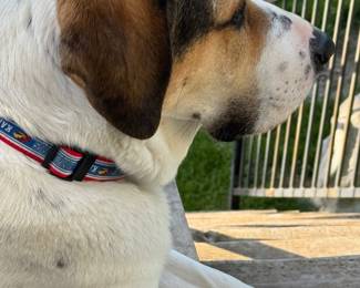 His good side for up close photos