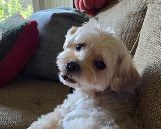 Yes, I know how cute I am. And I am modeling only